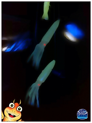 Le Profondit&agrave; .... de "L'Isola non Trovata" !